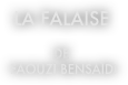 La Falaise

de
 faouzi bensaïdi