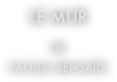 le mur

de
faouzi bensaïdi